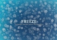 20_freeze_snowflakes_brushes_vol.11_preview