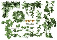 20_ivy_brushes_vol.1_preview