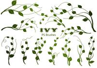 20_ivy__brushes__vol.6_preview