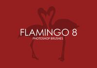 Flamingo_8