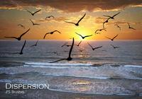 20_dispersion_birds_brushes_vol.12_preview