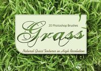 20_grass_texture_brushes_vol.1_preview