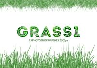 Grass1