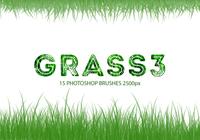 Grass3