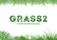Grass2