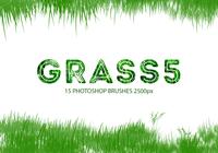 Grass Photoshop Brushes 5