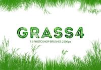 Grass4