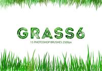 Grass6