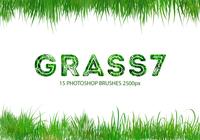 Grass7