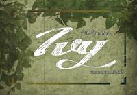 20_ivy_brushes_vol.12_preview