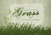 20_grass_silhouette_brushes_vo.l6_preview
