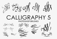 %d0%a1alligraphy5