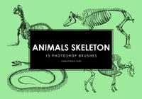 Animal_skeleton