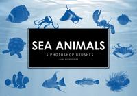 Sea_animals