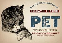20_pet_-_cats_brushes_preview