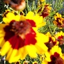 Dsc00108