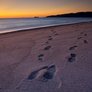 Footprints-sand_27220