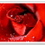 0409240122401trandafir_f