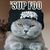 Funny_cat_pictures_174