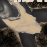 Nbbc50