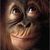 Monkey_face