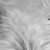 Bear_-_eyes