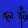 Red_fox_meninu