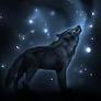 Avatar2825_1