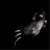 Thumbnail_20210129_223933