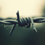 Barbed_wire