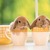 Bunniesincups_1_