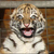 Toothless_tiger