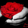 10538456_8aad1241e9