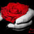 10538456_8aad1241e9