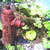 Pict0143