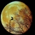 P_large_43ea_6b28000210262d11
