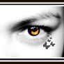 Mi_ojo5