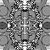 Media_file_117713