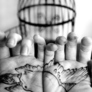 Bird-tattoo