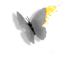 Butterfly_background_fire