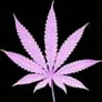 Mouio_1_