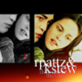 Poordeadturtle-twilightmovieos15-7