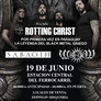 Afiche_rotting