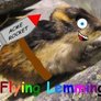 Flyinglemming