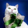 Neve_fiocco_verde