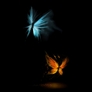 Fond-ecran-papillons-de-lumiere