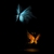 Fond-ecran-papillons-de-lumiere