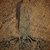 Dirt