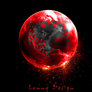 Lonny-design-20