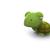 Timeous_turtle